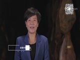 盘县火腿